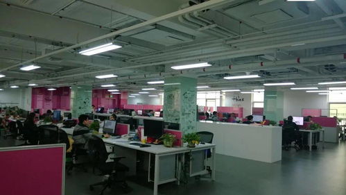 多圖直擊 蓬勃發展的順義文化企業——計算機領域內的技術開發