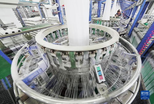 河北灤南 高技術產業賦能高質量發展，計算機領域技術開發引領新篇章